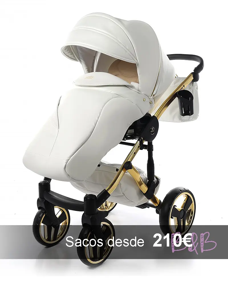 Baby bag car